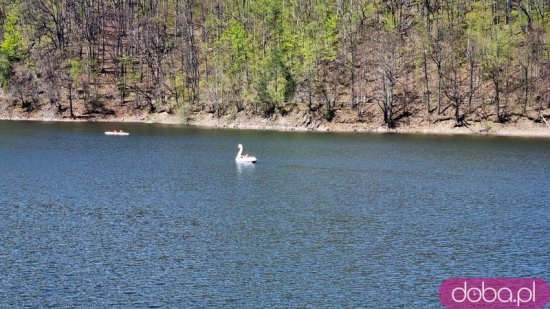 [FOTO] Wiosna nad Jeziorem Bystrzyckim