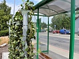 Kolejny zielony przystanek w Żarowie