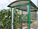 Kolejny zielony przystanek w Żarowie