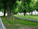 Odbiór robót budowlanych w parku przy ul. Jeleniogórskiej w Świebodzicach