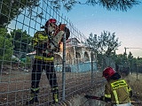 [FOTO] Świdniccy strażacy walczą z ogniem w okolicach Aten