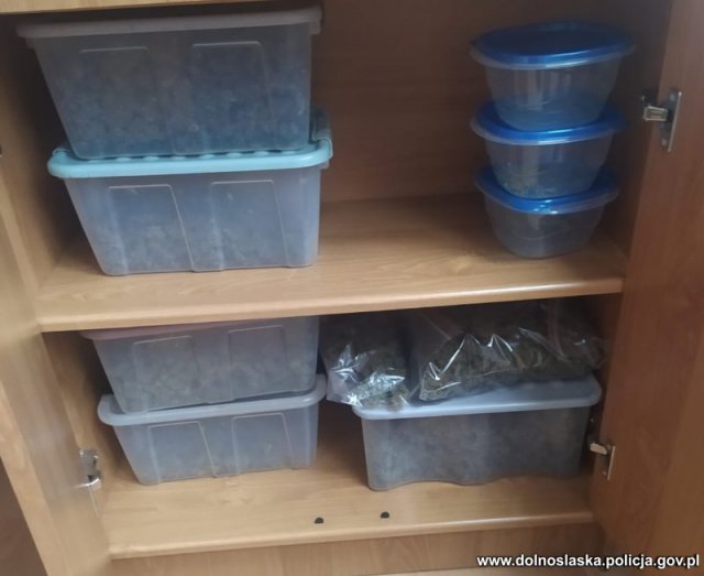 [FOTO] Policjanci przechwycili ponad 12 kilogramów marihuany, zlikwidowali nielegalną uprawę