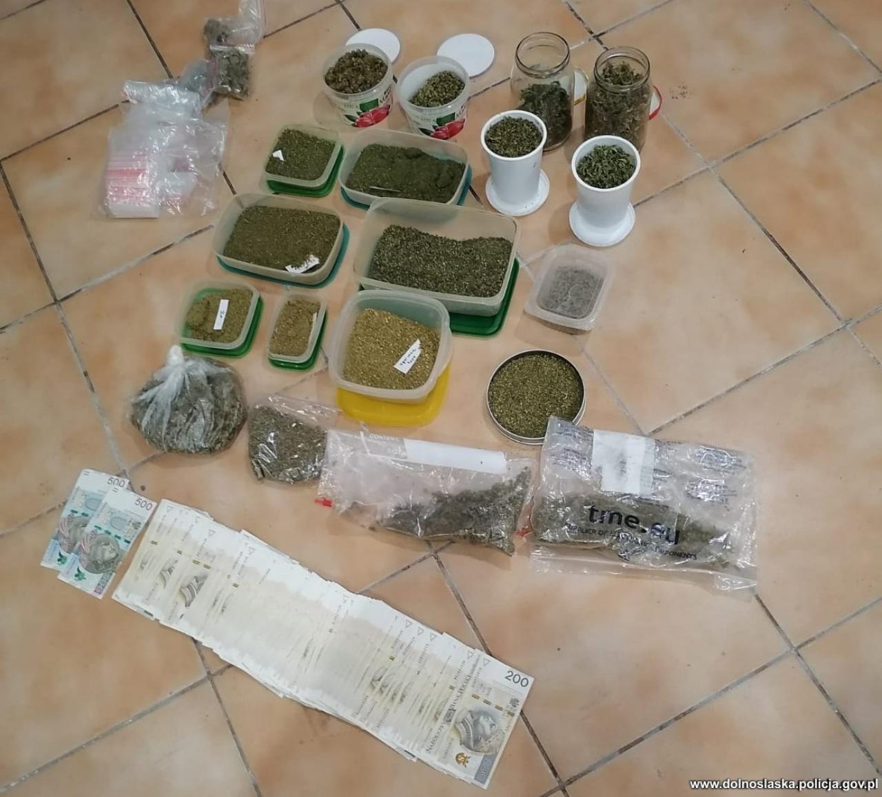 [FOTO] Policjanci przechwycili ponad 12 kilogramów marihuany, zlikwidowali nielegalną uprawę