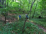 [FOTO] Miniona sobota w duchu rywalizacji i pomocy w Świebodzicach