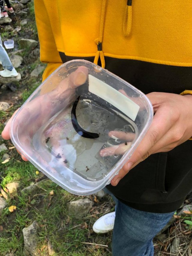 [FOTO] Uczniowie SP w Mokrzeszowie rozwijają swoje kompetencje