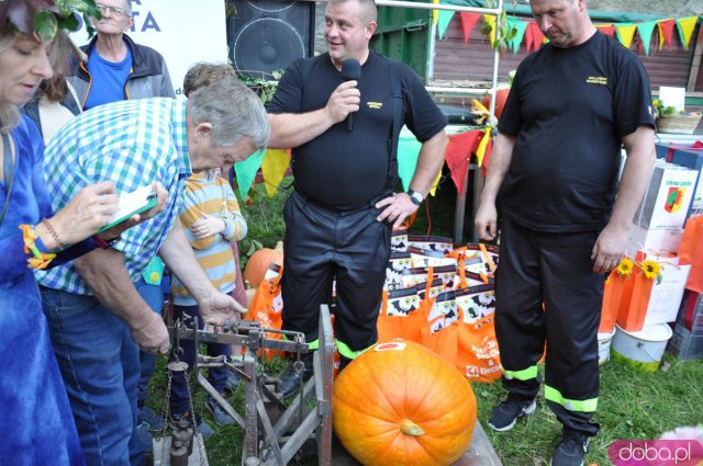 Święto Dyni w Wierzbnej 