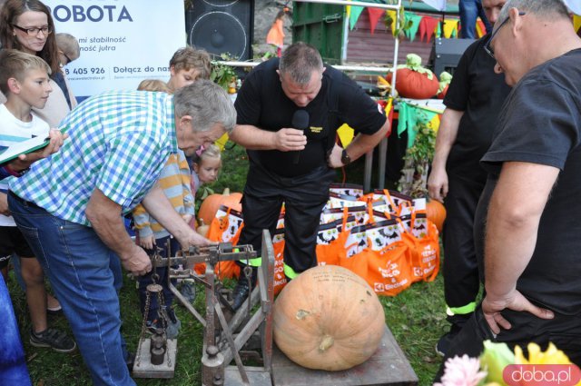 Święto Dyni w Wierzbnej 