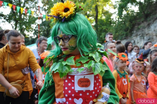 Święto Dyni w Wierzbnej 