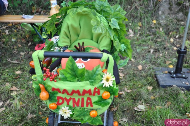 Święto Dyni w Wierzbnej 
