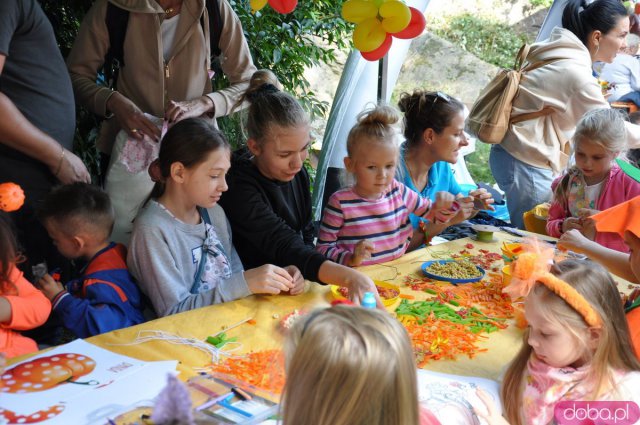 Święto Dyni w Wierzbnej 