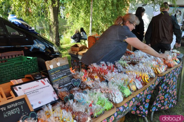 Święto Dyni w Wierzbnej 