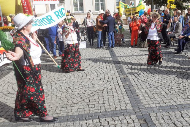 [FOTO] Żarowski zespół Senyor Rici gościł w Jeleniej Górze