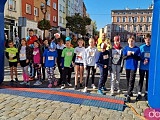 [FOTO] Półmaraton Aryzta w Strzegomiu i Bieg Piekarza za nami