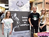[FOTO] Światowy Tydzień Zwierząt w Świdnicy