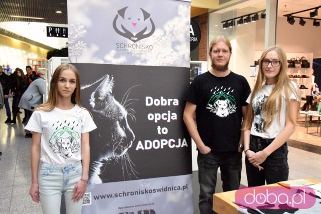 [FOTO] Światowy Tydzień Zwierząt w Świdnicy