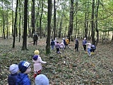 [FOTO] Przedszkolaki ze Stanowic na wycieczce w lesie