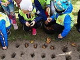 [FOTO] Posadzili cebulki, wiosną stworzą Pola Nadziei