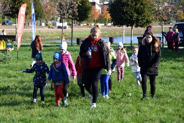 Mistrzostwa Świdnicy w biegu na orientację