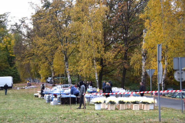 Bądźmy bezpieczni w Dzień Wszystkich Świętych i w Dniu Zadusznym