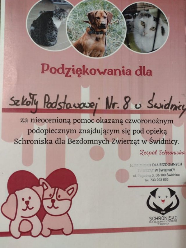 Wolontariat SP8 w Świdnicy na rzecz schroniska dla zwierząt
