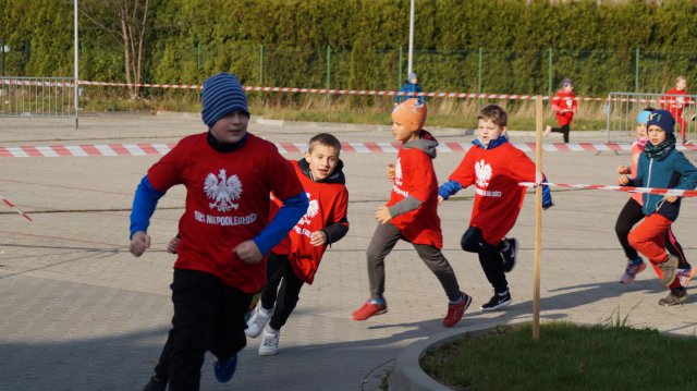 [FOTO] Jaworzyna Śląska w biało-czerwonych barwach 