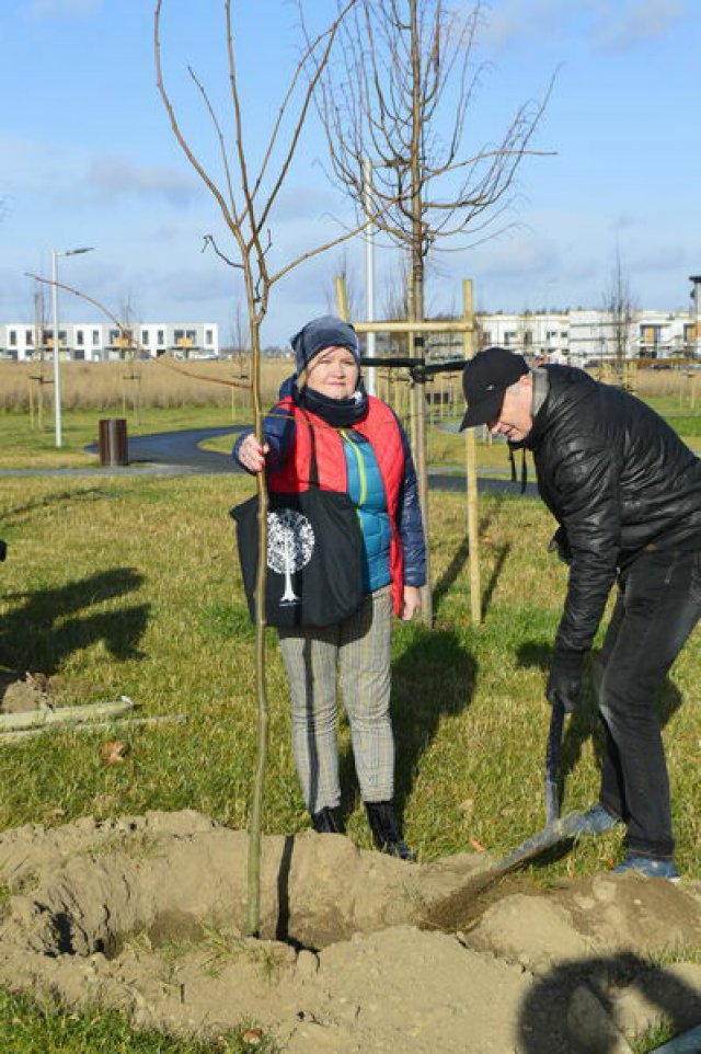 [FOTO] „Seniorzy Pokoleniom” - akcja sadzenia drzewek w Świebodzicach