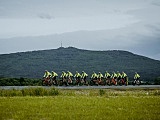 [FOTO] Udany sezon świebodzickich kolarzy i triathlonistów