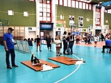Igrzysk Zimowej Akademii Sportu
