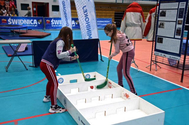 Igrzysk Zimowej Akademii Sportu