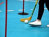 Igrzysk Zimowej Akademii Sportu