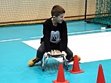 Igrzysk Zimowej Akademii Sportu