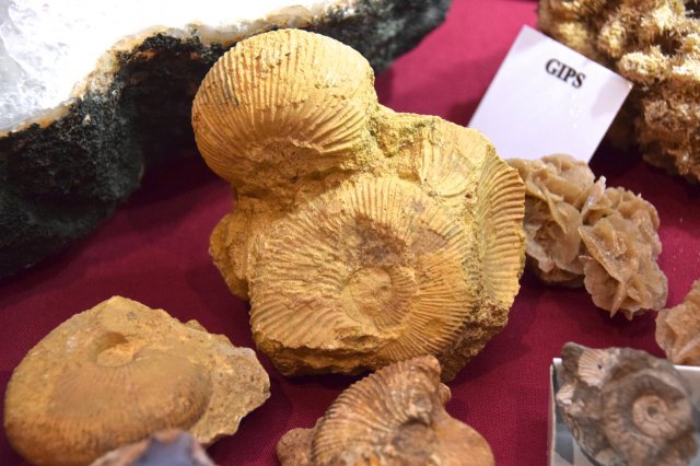 IX Giełda minerałów i biżuterii z kamieni szlachetnych i półszlachetnych