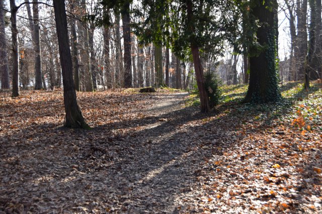 Jak zmienia się Park Młodzieżowy?