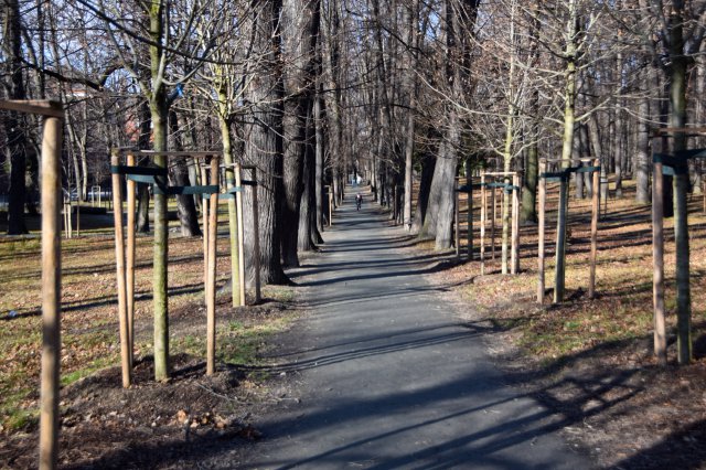 Jak zmienia się Park Młodzieżowy?