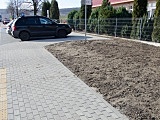 witoszow
