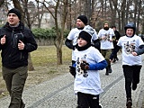 Bieg Tropem Wilczym w Strzegomiu