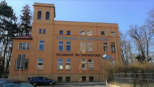 grafika