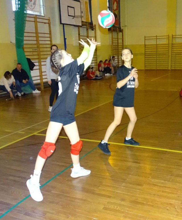 siatkowka