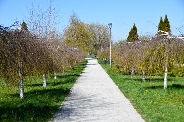 Świąteczny spacer