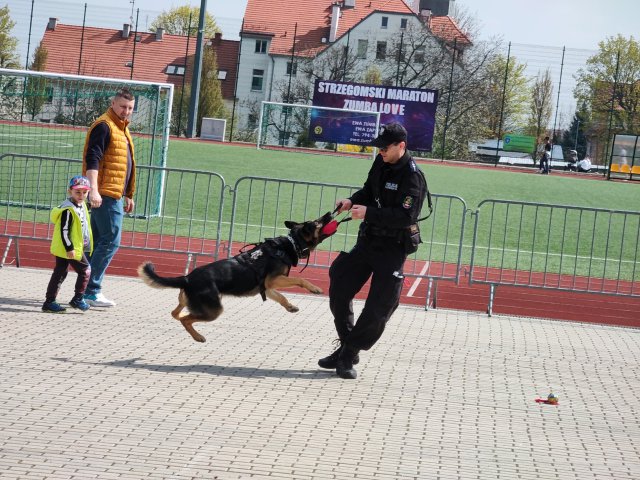 Drugi dzień Strzegomskiego Festiwalu Dobroczynności