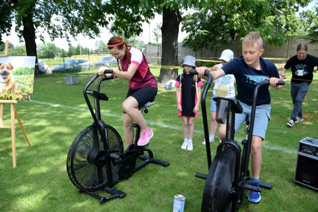 Festyn Sportowo-Rekreacyjny w Świdnicy