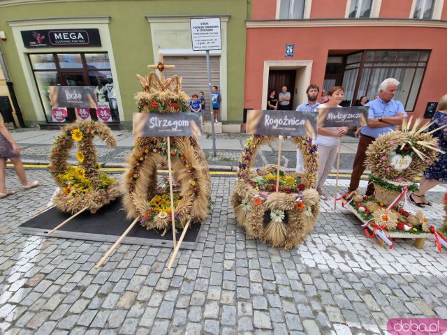 [FOTO] Trwają Dożynki Gminne w Strzegomiu