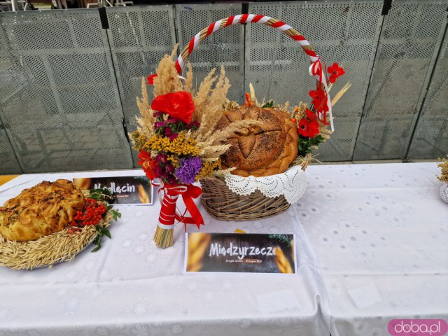 [FOTO] Trwają Dożynki Gminne w Strzegomiu