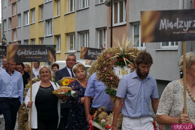 [FOTO] Trwają Dożynki Gminne w Strzegomiu