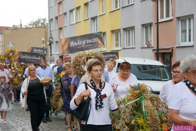 [FOTO] Trwają Dożynki Gminne w Strzegomiu