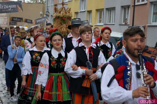 [FOTO] Trwają Dożynki Gminne w Strzegomiu