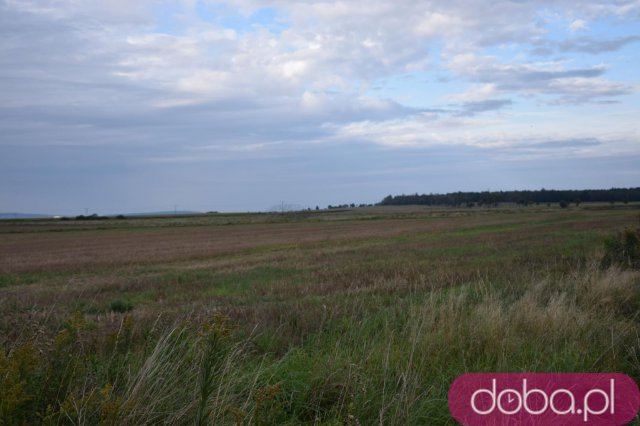 Nie chcą biogazowni przy swoich domach. Mieszkańcy Świebodzic obawiają się smrodu