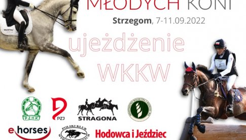  Młode konie rywalizują w Strzegomiu o tytuły mistrzów Polski 