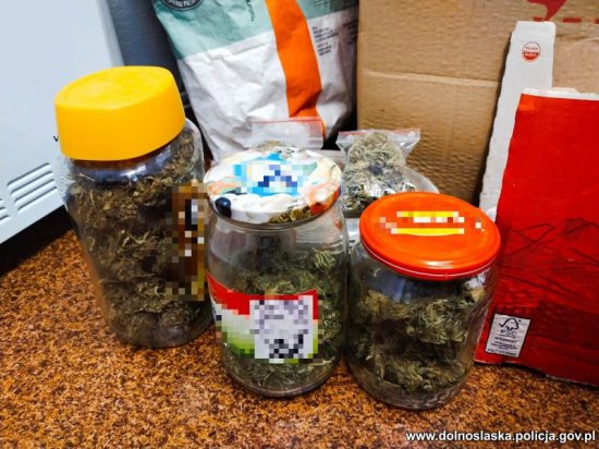 3,6 kg marihuany i odzyskane trzy skradzione pojazdy, to efekt wizyty świdnickich policjantów na posesji 33-latka