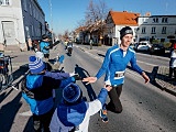 500 biegaczy w Świebodzicach